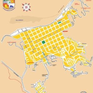 Constitución