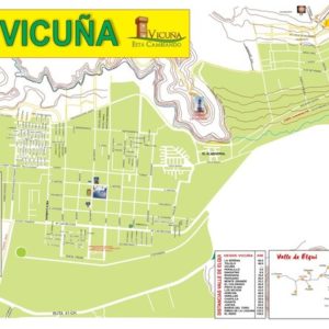 Vicuña