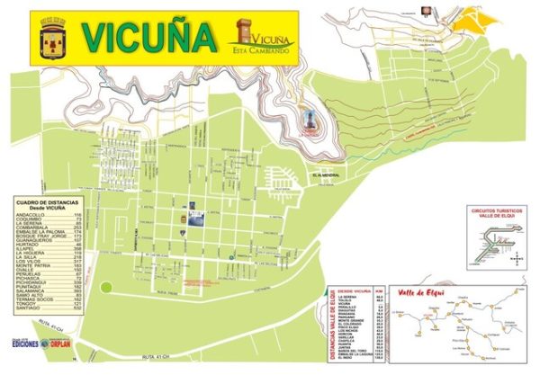 Vicuña